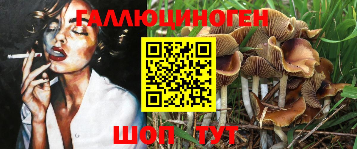 Галлюциногенные грибы Cubensis  Вход с VPN  Городец  Псилоцибиновые грибы Cubensis 